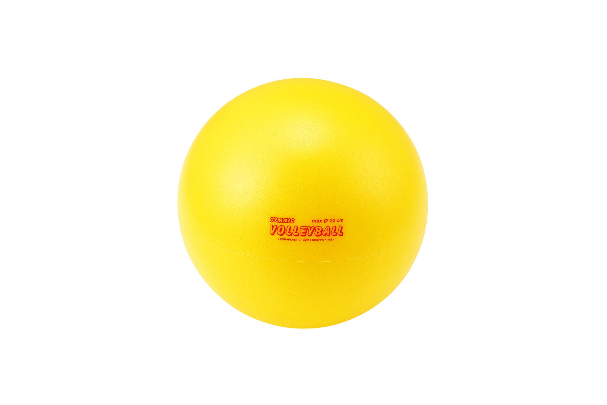 Rakuten - 【6/20(土)20〜24時限定ポイント最大48倍！マラソン+0の日】 トーエイライト ギムニクソフトエアボール21 TOEI LIGHT U7056
