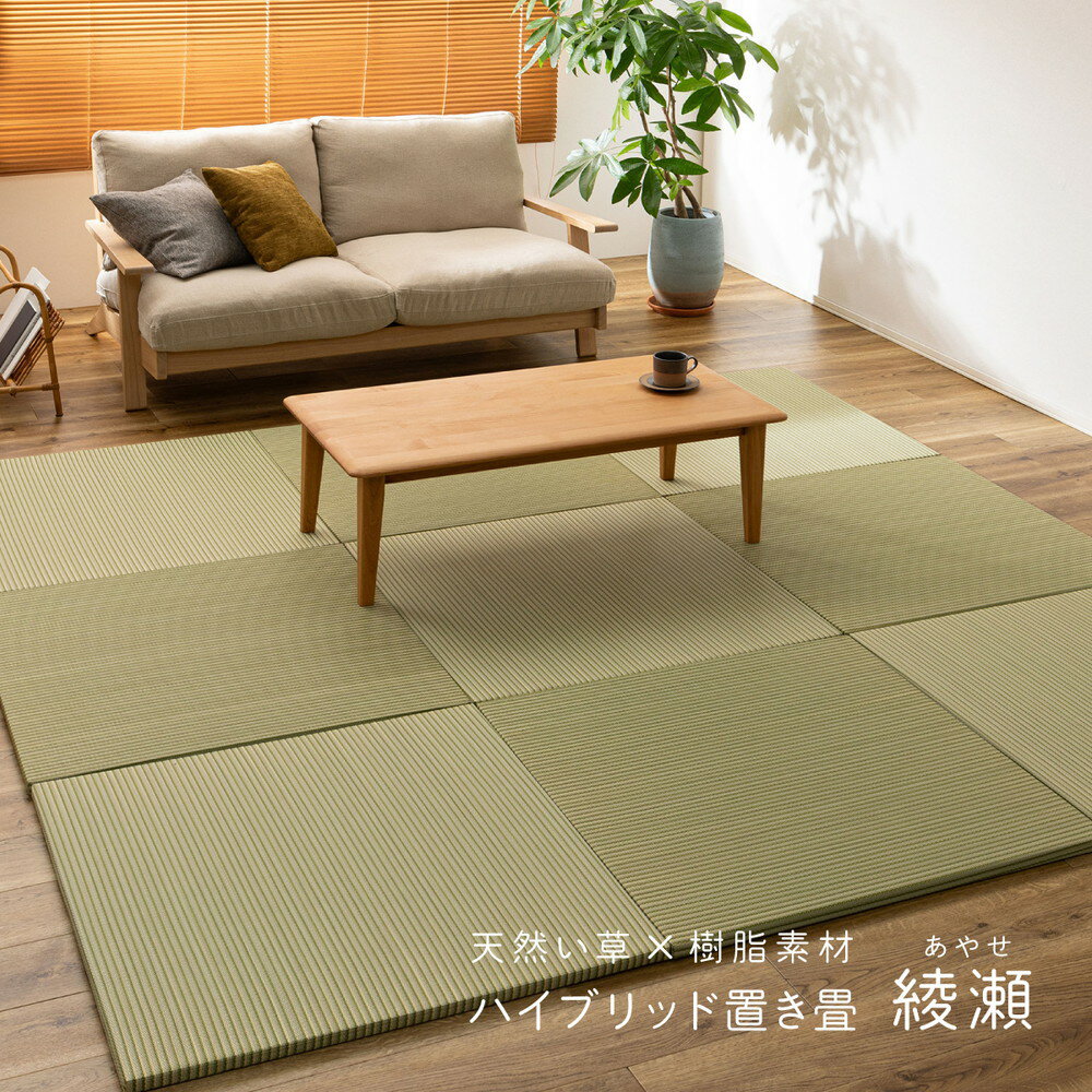 allecore ʥ쥳 ŷԾŹ㤨֡11/20(2024ݥȺ48ܡBF ߼Ǻ ϥ֥å ֤ 82822.5cm Ǻ  Ⱦ ʤ ե ˥åȾ PP ߤդ ̵פβǤʤ3,020ߤˤʤޤ