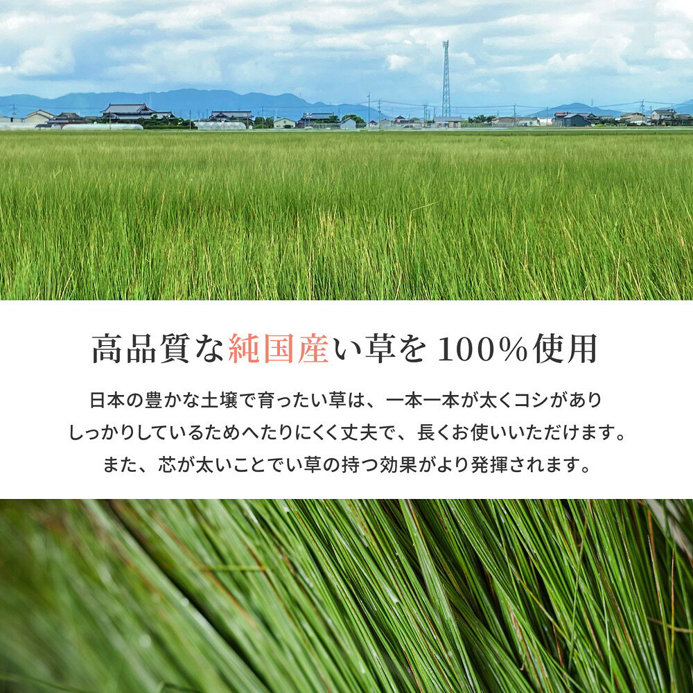 国産 い草カーペット 清涼 約261×261cm 江戸間 4.5帖 4.5畳 柄上敷き 花ござ い草ラグ 送料無料 [2]