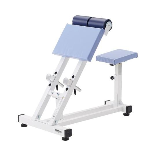 【11/30(日)20〜24時限定 ポイント2倍+LINEクーポン】アームカールベンチ