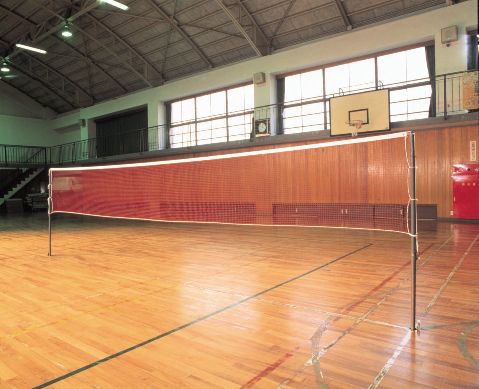 Rakuten - バトミントンネット 210／24 検定品