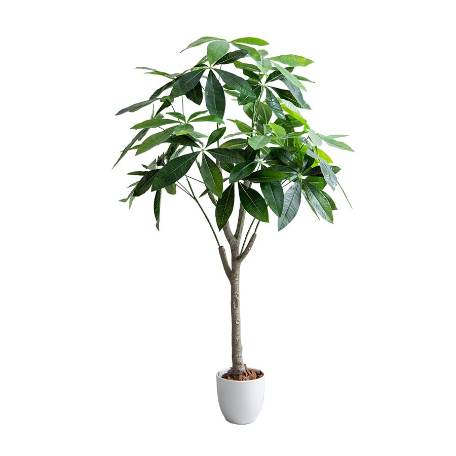 Rakuten - 観葉植物 パキラ フェイクグリーン 人工 室内 グリーン