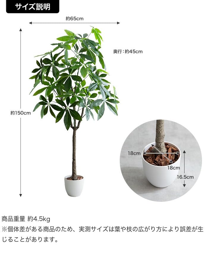 観葉植物 パキラ フェイクグリーン 人工 室内 グリーン [2]