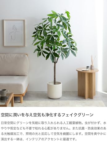観葉植物 パキラ フェイクグリーン 人工 室内 グリーン [3]