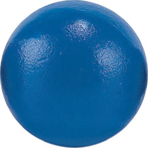 【1/30(金)20〜24時限定 ポイント2倍+LINEクーポン】エバニュー EVERNEW 正規品 ...