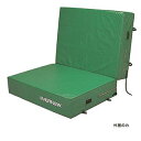 エバニュー EVERNEW 正規品 交換袋 EGD063用 EGD073 送料無料