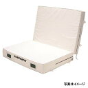 【5/25(日)20〜24時限定P最大48倍!マラソン+5のつく日】エバニュー EVERNEW 正規品 交換袋 EGD162用 EGD172 送料無料