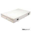エバニュー EVERNEW 正規品 抗菌屋内エバーマット200×300×40 EGD224 送料無料