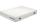 エバニュー EVERNEW 正規品 コウキンオクナイスベリドメ2X3X0.3T リクジョウグッズソノタ EGD243 送料無料