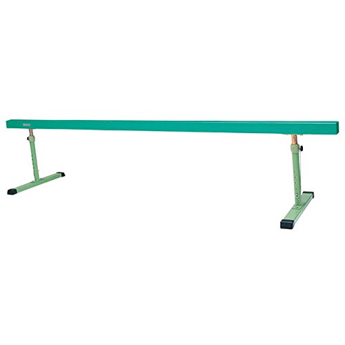 【P2倍3/15(土)20時〜24時限定+LINE登録クーポン】エバニュー EVERNEW 正規品 平均台E-40C EKF507 送料無料