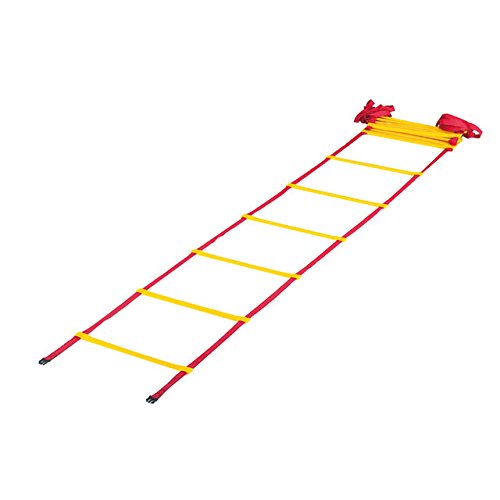 ��1/20(��)20��24������ �ݥ����2��+LINE�����ݥ�ۥ��Х˥塼 EVERNEW ������ ����������� 8m EGA497 ����̵��