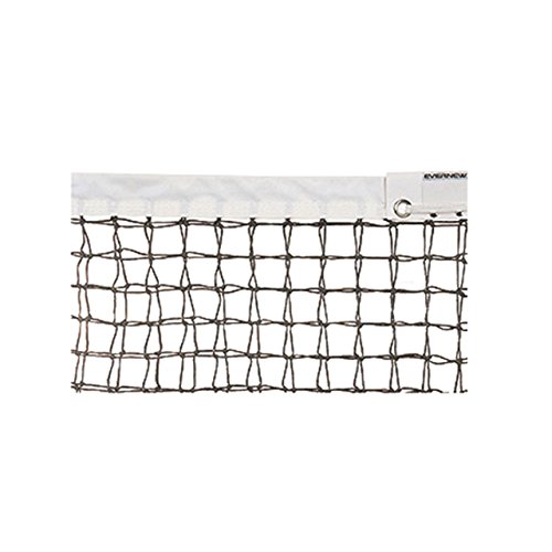 【11/25(火)20〜24時限定ポイント最大48倍!Bフライデー】 エバニュー EVERNEW 正規品 テニスネット センターストラップ付 T120 全天候硬...