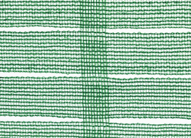 【2/20(金)20〜24時限定ポイント最大48