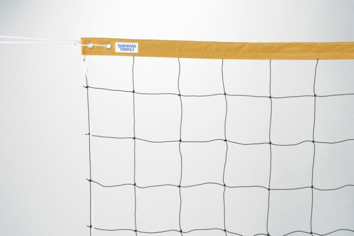 三和体育 ソフトバレーネット 学校 