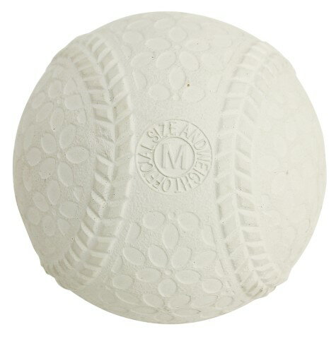 【2/20(金)20〜24時限定ポイント最大48