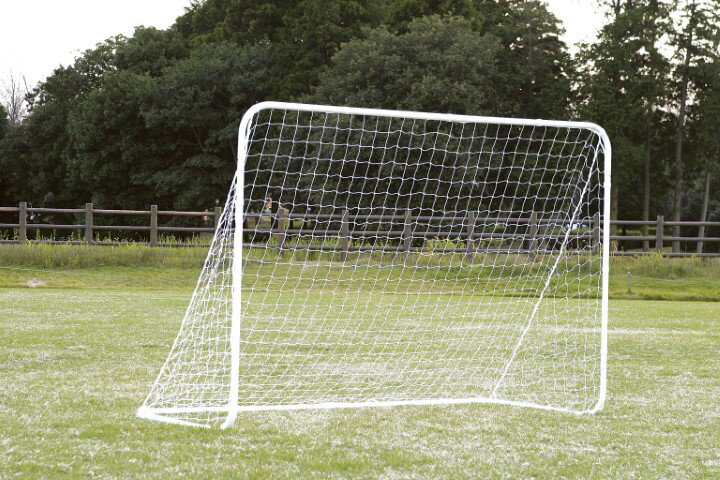 【2/20(金)20〜24時限定ポイント最大48