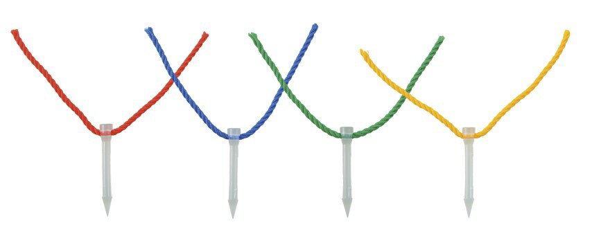 【2/20(金)20〜24時限定ポイント最大48