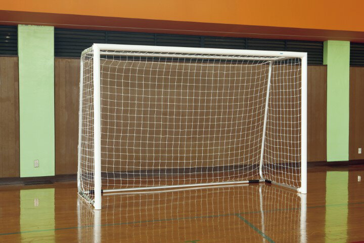 【2/20(金)20〜24時限定ポイント最大48