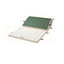 三和体育 抗菌コンビマット ノンスリップ 6号 120×600×6 学校 体育用品 送料無料 S-7876
