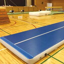【5/10(土)20〜24時限定P最大48倍!マラソン+5のつく日】三和体育 エアマット 高反発仕様 t20cm 90cm×120cm 学校 体育用品 送料無料...