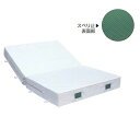 三和体育 室内用ソフトマット (二ツ折) ノンスリップタイプ 200×300×40 学校 体育用品 送料無料 S-9734