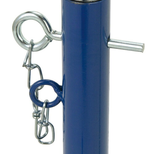 【2/20(金)20〜24時限定ポイント最大48