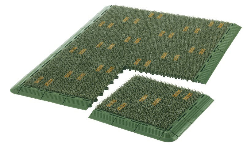 ��12/25(��)20����24������ �ݥ���Ⱥ���48�ܡ��紶�պס��ۻ����ΰ� �֥�å��󥰥ޥåȥ��å� �ع� �ΰ����� ����̵�� S-8399