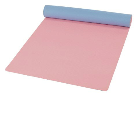 三和体育 エクサマット 学校 体育用品 送料無料 S-8424