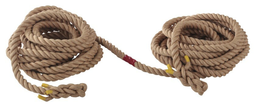 【2/20(金)20〜24時限定ポイント最大48