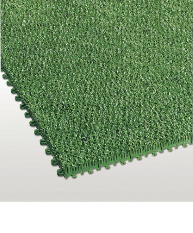 【2/20(金)20〜24時限定ポイント最大48