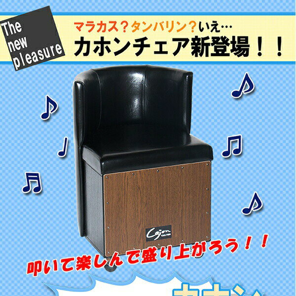 6/25()2024P48ܡޥ饽+5ΤĤ ۥ ġȥ ǳڴ ġȡ Cajon two-ton...