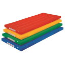 【6/8(日)20〜24時限定P最大48倍!楽天スーパーSALE】エバニュー EVERNEW 正規品 屋内外兼用体操マット120×300×5 青 送料無料