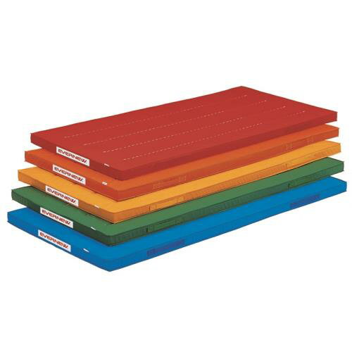 【12/25(木)20時〜24時限定 ポイント最大48倍！大感謝祭！】エバニュー EVERNEW 正規品 エコ・カラーマットスベリ止付90×180×5 黄 送料無料