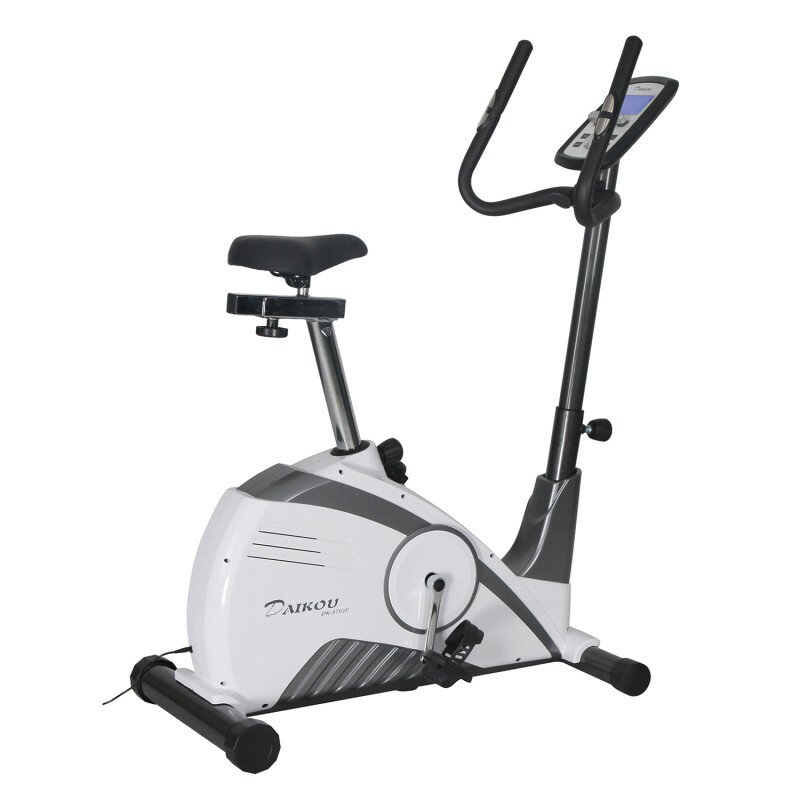 Rakuten - エバニュー EVERNEW アップライトバイクDK-8702P