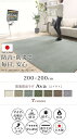 ラグ ラグカーペット 正方形 防音防炎ラグ-エイヴァ 200x200cm リビング 高級感 おしゃれ 北欧 シンプル 無地調 極細 ホットカーペット対応 オールシーズン 防音 防ダニ 防炎 すべり止め 日本製 カットオーダー 在宅