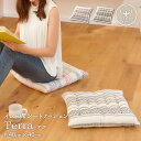 【P2倍8/15(金)20時~24時限定+LINE登録クーポン】インド綿シートクッション テラ 40×40cm 送料無料