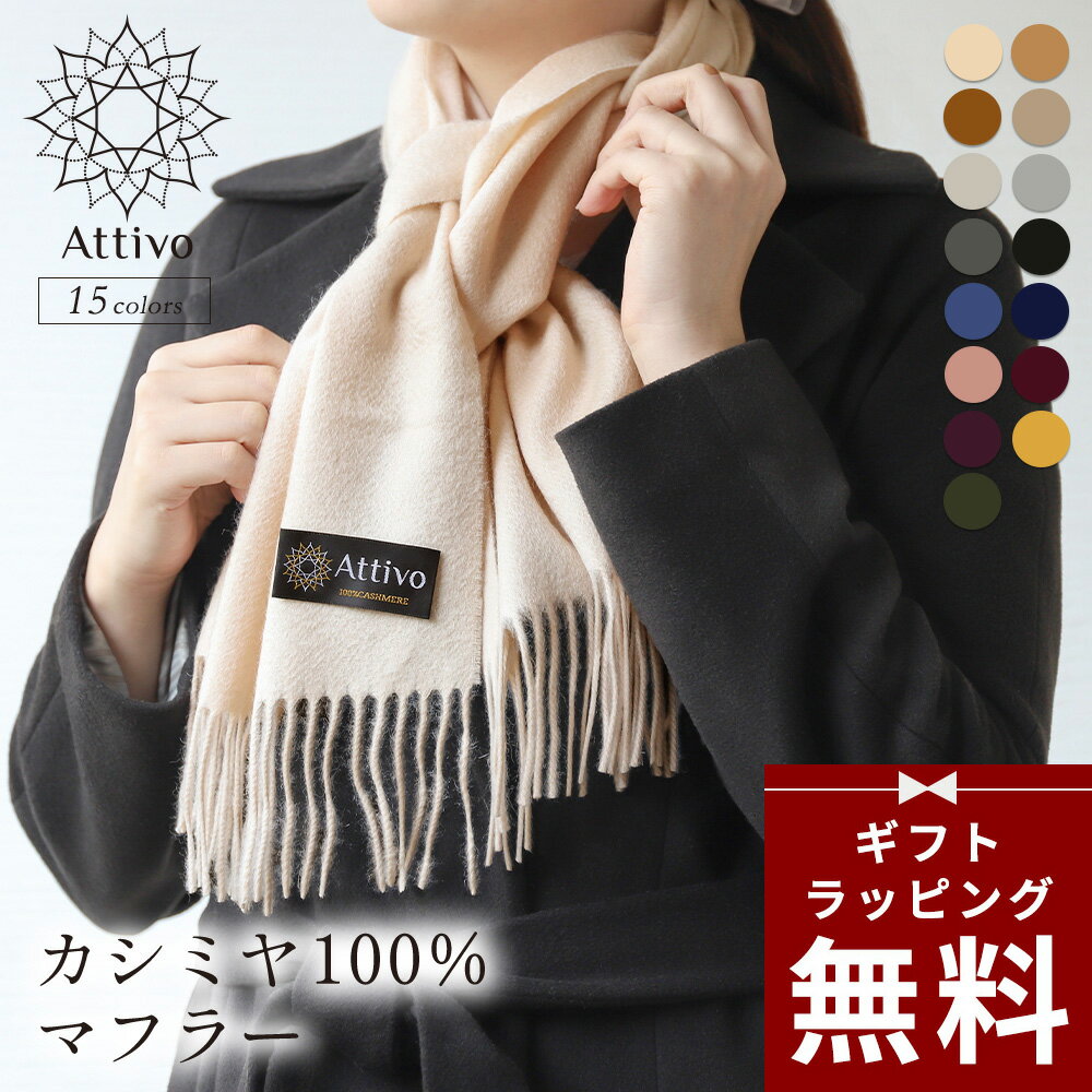 ڥåԥ̵ۥߥ ޥե顼 ǥ ߥ100 ̵ եդ Attivo [15 ] [ATCM01] դդ Ҥݤ ֥...