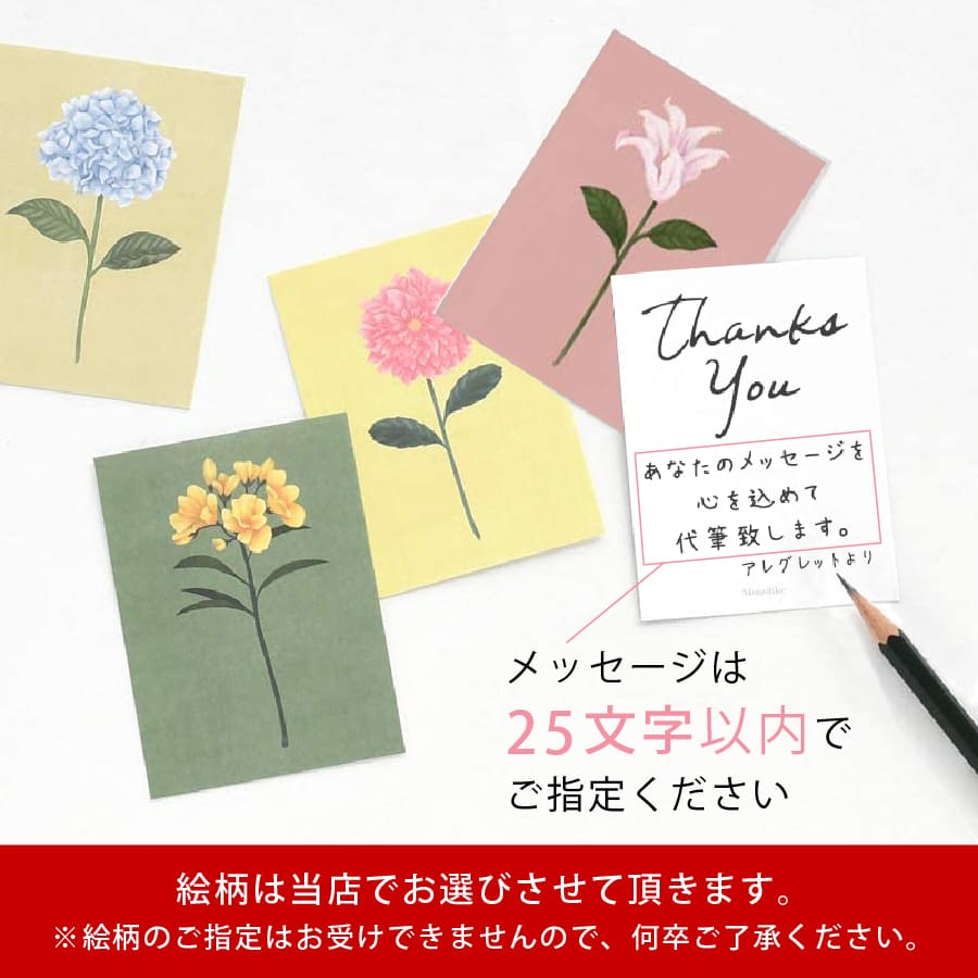 【6/22 20時〜クーポンで全品20%OFF楽天お買い物マラソン】有料メッセージカード [手書きメッセージ] [MCARDA] 母の日 父の日 記念日 誕生日 敬老の日 Xmas お祝い ※ギフトラッピングとセットでご注文ください。※単体・でのご注文は無効となります。ご注意ください。