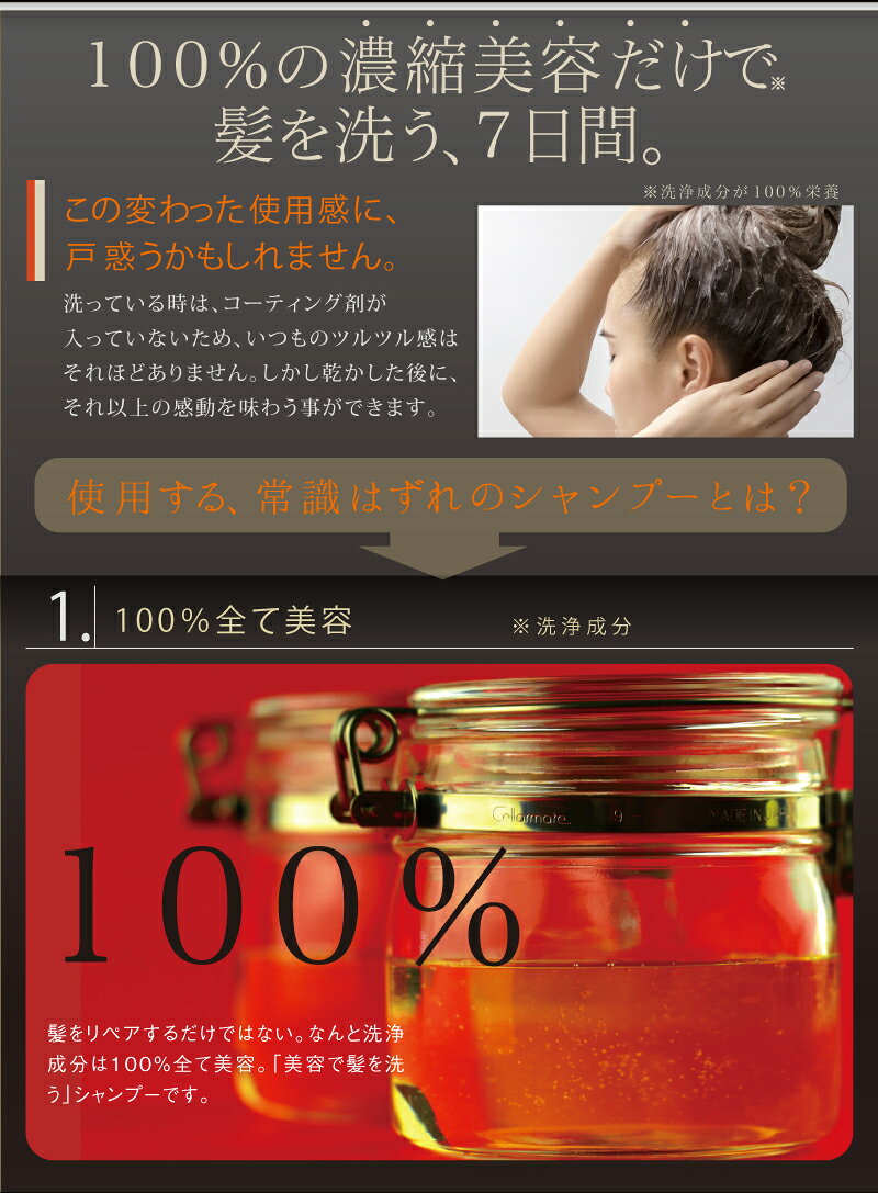 サンプル画像3