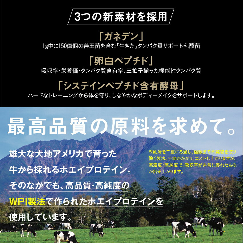 【なかやまきんに君プロデュース】ザプロテイン(THEPROTEIN)600g(リッチバニラ風味/ベリーヨーグルト風味)/ナチュラル甘味料/ホエイ/タンパク質/女性/置き換え/