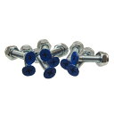 トゥエルブ フロー TWELVEFLOW/12FLOW 7/8 プラス BLUE ビス、ナット