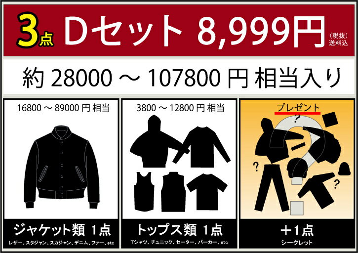 【送料無料】レディースB系福袋 8999円 ジャケット、トップス入 セーター パーカー レザージャケット ダウンジャケット ファージャケット ダンス tシャツ SCHOTT ショット AVIREX アビレックス tommy girl トミーガール