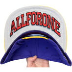 乐天商城 - 75 x 147 mm【AFO】ALLFORONE 2 WAPPEN 【ゆうパケット配送対象商品】裏バイザーワッペン