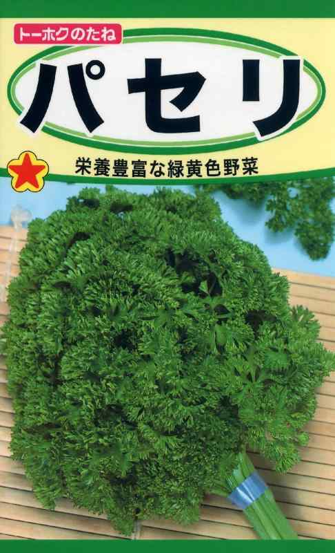 株式会社トーホク パセリ 02060