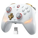 GameSir Cyclone2 TMR コントローラー 1000HZのポーリングレートゲームパッド ホールトリガー/マイクロトリガー付きのコントローラーpc 500万回の高耐久マイクロボタン ソフトウェア調整対応 背