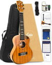 【初心者8点セット】Aostinオースティン・UMI-1C Pro・コンサートウクレレ・カッタウェイ仕様/コンター加工・マホガニー材【安心の3年】【付属品8点セット:国内書・チューナ(2)