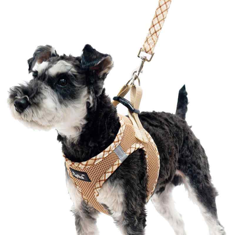 PUPTECK 犬 ハーネス リード セット 抜けない 胴輪 調整可能 軽量 メッシュ 通気性 ソフト 快適 着脱簡単 反射材付き 引っ張り防止 喉に優しい 耐久性 散歩 アウトドア 安全 老犬介護 しつけ お