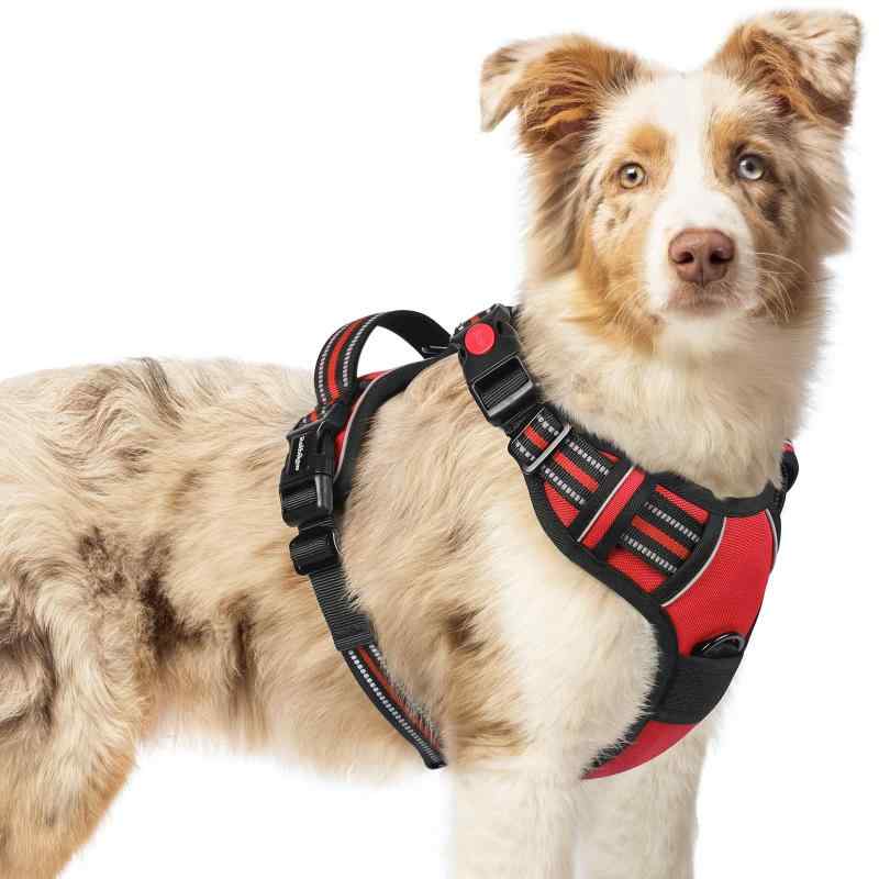 [最新型犬ハーネス]rabbitgoo 犬 ハーネス 犬用胴輪 小型犬/中型犬/大型犬 引っ張り防止 (レッド M)ぴったりフィット感を実現：四ヶ所に調整可能な部分があり、ほとんどの犬種に適応し、自由な動きを確保しながらフィットします。首回りと胴回りにそれぞれ2つのストラップが付いているので、急成長期の犬のために特別に作られました。 サイズ情報：首回り48.8～59.7cm、胸回り48.8～72.4cm。着脱が楽で使いやすい：この犬用ハーネスは、首に1つ、胸に2つのバックルが付いているため、合計で3つのバックルがあり、着脱が非常に簡単です。犬の頭を通さずに装着できるため、毎回フィット感を調整する必要がありません。また、ご愛犬にとって咳き込みを軽減し、窮屈にも感じません。超安全なデザイン：この犬用ハーネスは丈夫なオックスフォード生地を使用し、強化された縫い目によって耐久性が高められています。首元のロックバックルは安全なフィットをし、極度の圧力下でも外れることを防ぎます。広範囲に光を反射するため、暗い夜道でも目立ち、遠くから注意を引き、夜の散歩などがより安心になります。耐久性が良い・柔らかい材質：内側には柔らかいスポンジメッシュを使用しており、ふわふわで擦れません。通気性が高く、長時間着用しても着心地が良いため、着たり脱いだりする手間が省けます。また、広めのデザインのハンドルにより、ワンちゃんの動きをより良く制御でき、安全性が確保されます。多様な使用シーンに対応：引っ張り防止の犬用ハーネスには、2つの金属製リーシュ取り付けポイントがあり、日常の散歩、ジョギング、ランニングなどの様々な活動に適しています。さらに、人間工学に基づいて設計されたトップハンドルは、追加のトレーニングサポートや持ち運びも便利です。