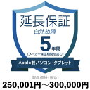 Applep\RE^ubgȐۏ؁y5Nɉz250,001~`300,000~ۏ