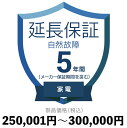 家電自然故障保証【5年に延長】250,001円〜300,000円延長保証